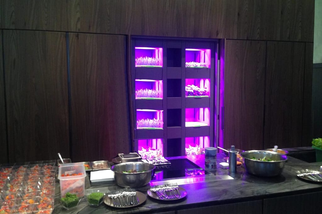 Cucine di lusso ed elettrodomestici 2 Cucine di lusso: cucina con ante in legno scuro e luce LED, progetto dello studio Federico Cappellina