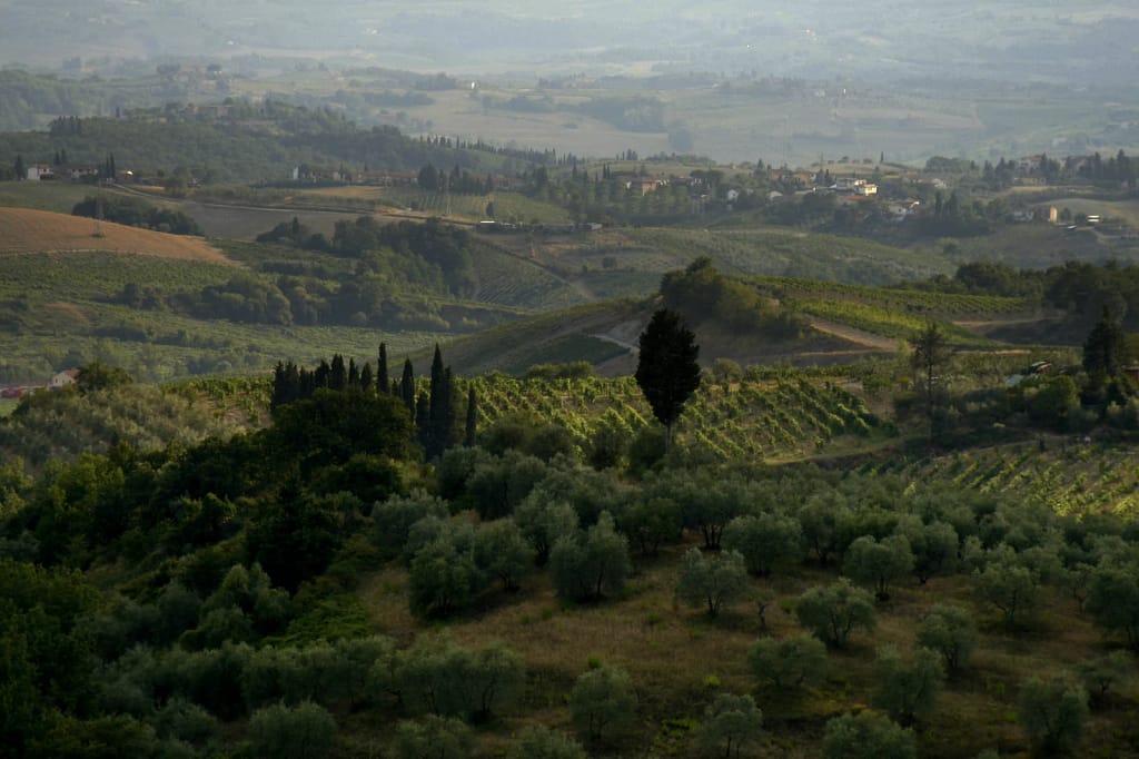 Ville di lusso in Toscana: la guida dell'architetto per sceglierle, affittarle o comprarle 13 Uliveti, vigne e cipressi nel Chianti, Toscana