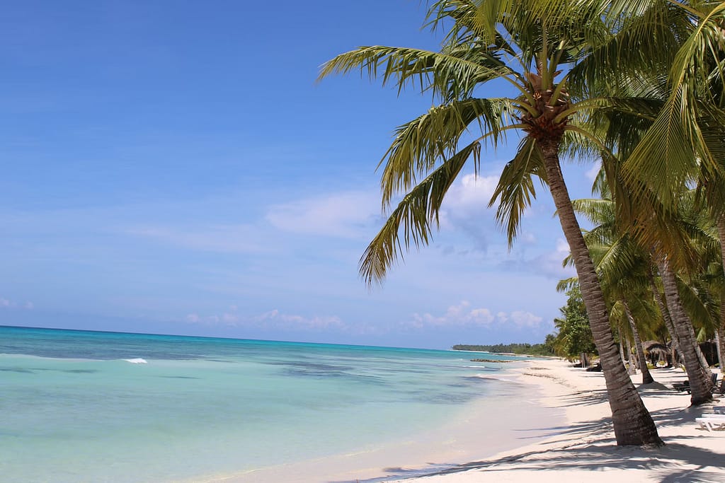 Zanzibar — Luxury Real Estate & Travel i 1 photo 1569700876451 bc36dfa8e77c