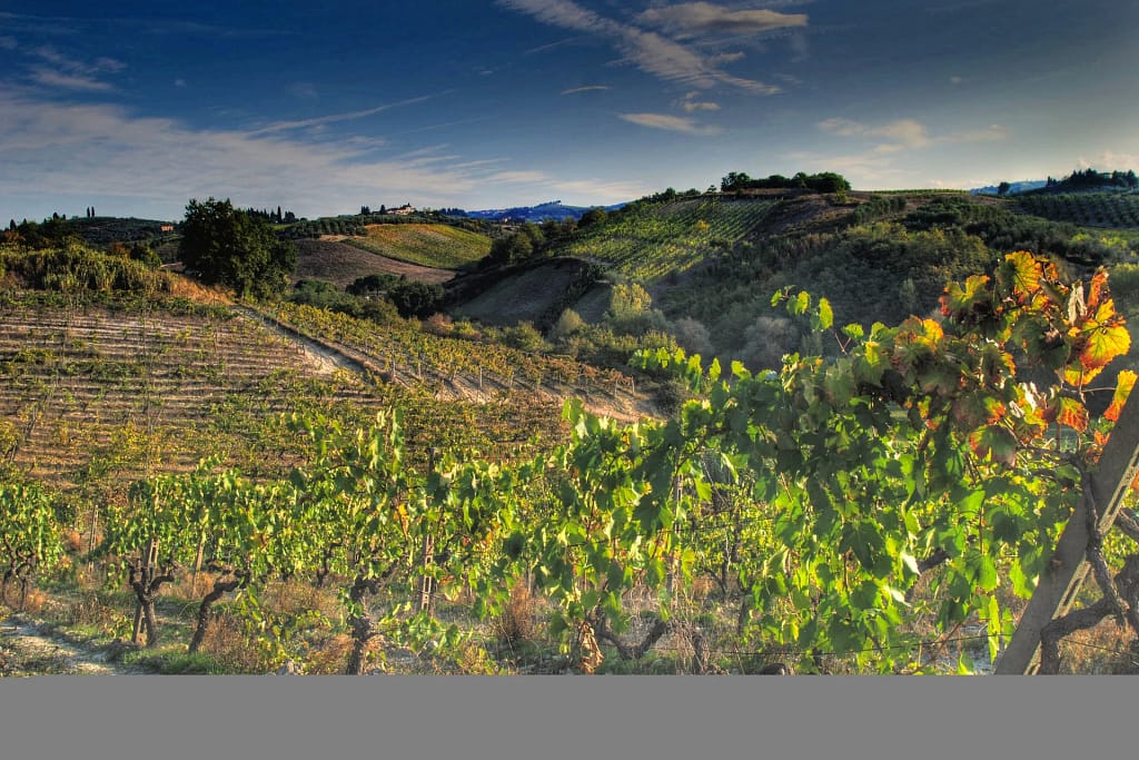 Luxury villas in Tuscany: an architect's guide to choosing, renting or buying 4 Chianti hills with vineyards, Tuscany
