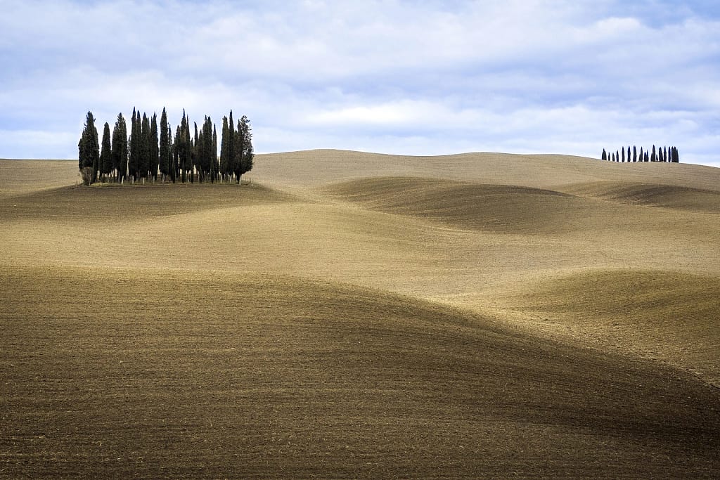Ville di lusso in Toscana: la guida dell'architetto per sceglierle, affittarle o comprarle 23 Cipressi sulle colline di San Quirico d'Orcia, in Val d'Orcia