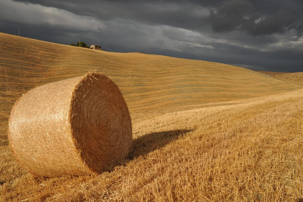 Luxury villas in Tuscany: an architect's guide to choosing, renting or buying 3 Hay bale in the Crete dell'Orcia nature reserve, Tuscany
