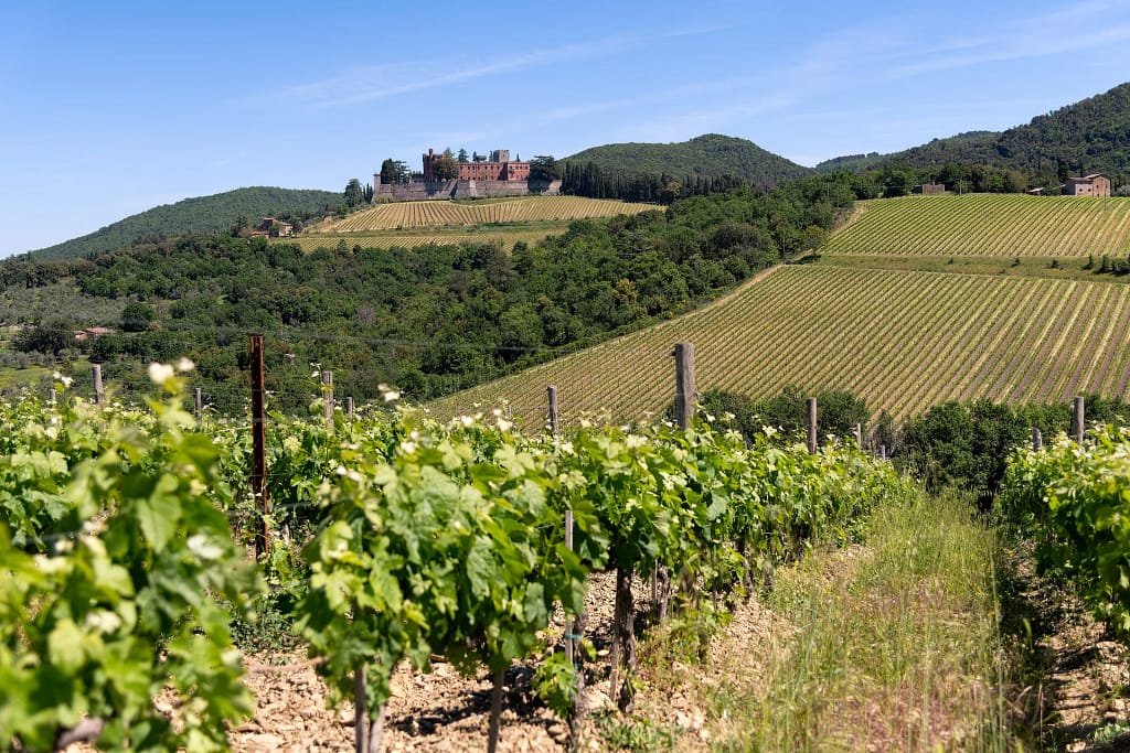 Ville di lusso in Toscana: la guida dell'architetto per sceglierle, affittarle o comprarle 15 Il Castello di Brolio e i vigneti del Chianti, Toscana