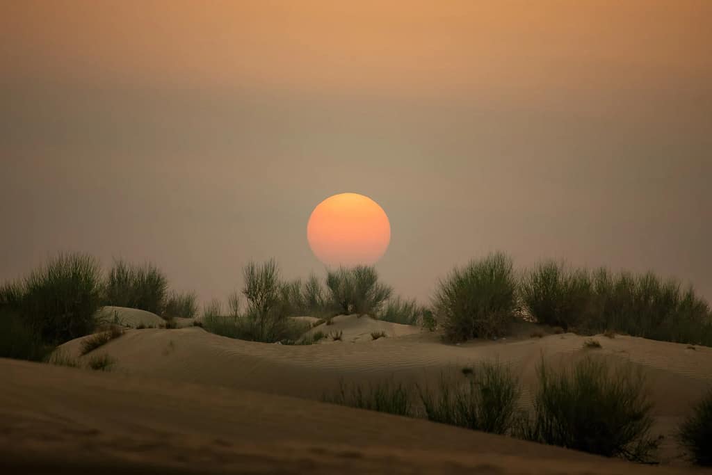 Luxury Travel 15 Luxury travel: sunset over the Dubai desert dunes