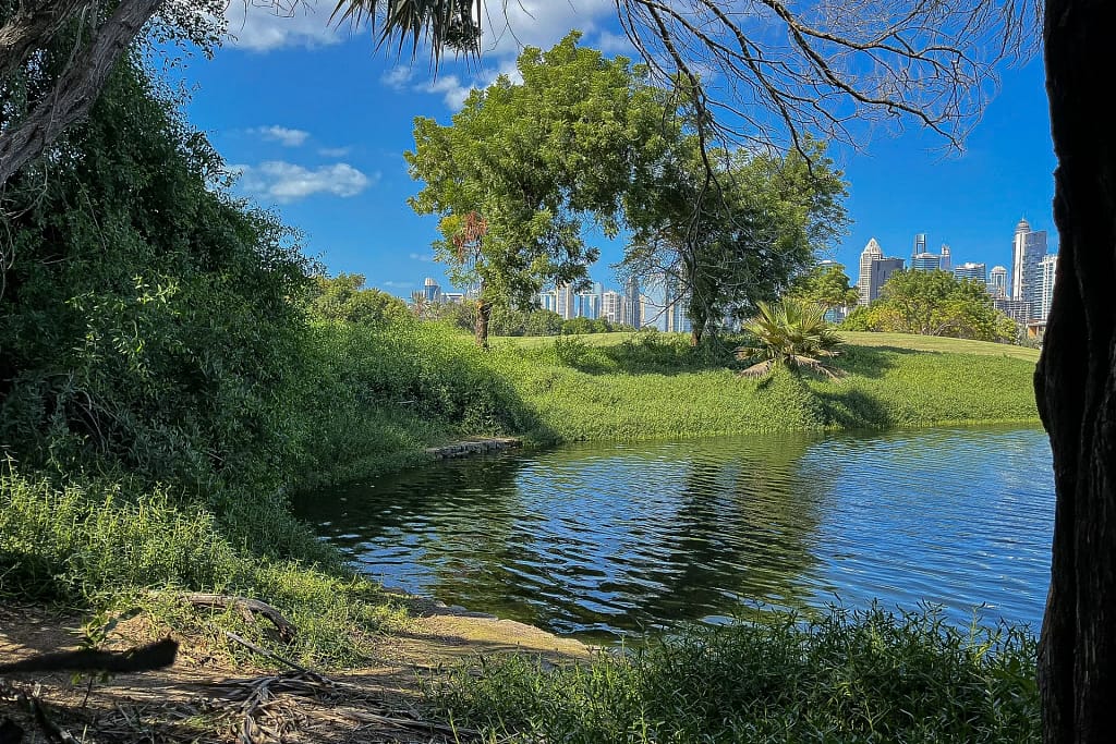 Dubai Sports City property prices in 2026: the registered sales 3 Luxury villas in Dubai: a lake in Emirates Hills with the city towers in the background
