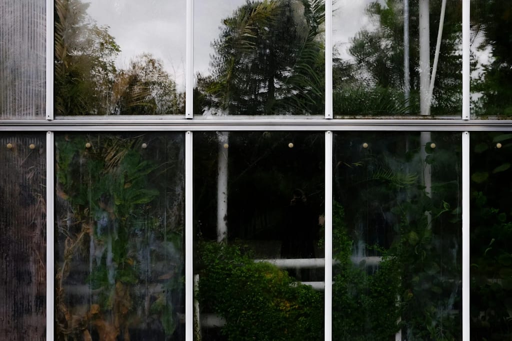 Luxury Windows — Glazing and Doors 14 Luxury windows: large slim-profile window onto the garden (illustrative photo)