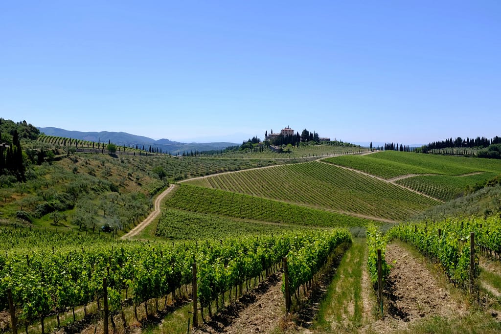 Ville di lusso in Toscana: la guida dell'architetto per sceglierle, affittarle o comprarle 5 Paesaggio del Chianti vicino a Radda in Chianti: vigne e colline