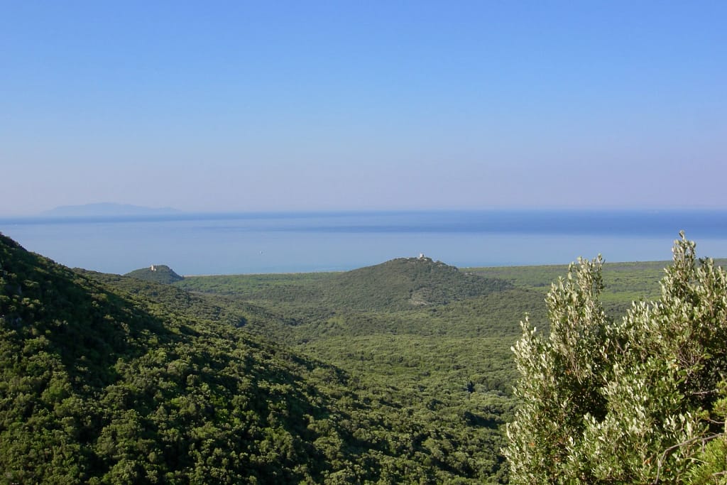 Ville di lusso in Toscana: la guida dell'architetto per sceglierle, affittarle o comprarle 10 Panorama del Parco naturale della Maremma, Toscana