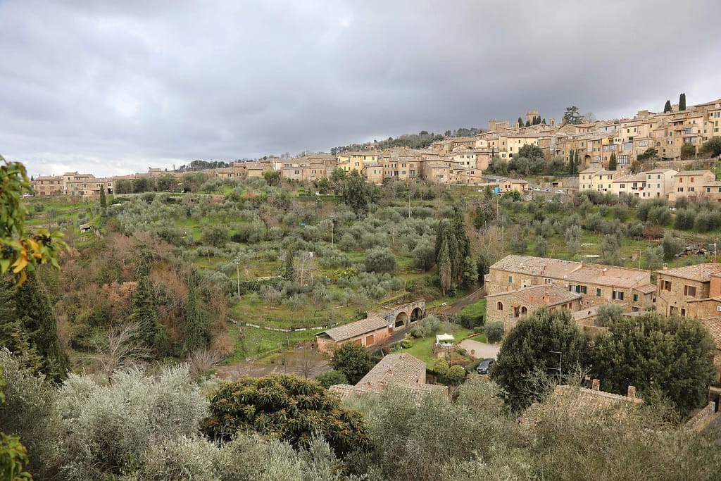 Ville di lusso in Toscana: la guida dell'architetto per sceglierle, affittarle o comprarle 7 Veduta di Montalcino tra gli uliveti, Toscana