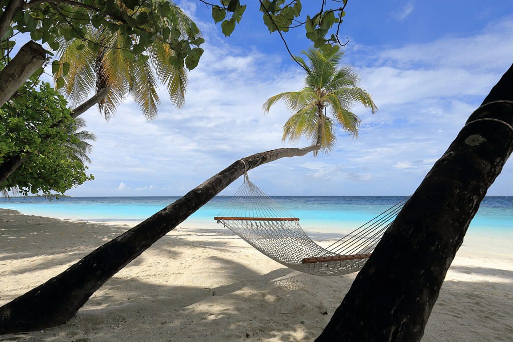 Viaggio alle Maldive: atolli, mante e ville sull'acqua 5 Viaggio alle Maldive: amaca tra le palme sulla spiaggia