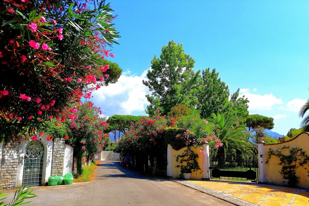 Luxury villas in Tuscany: an architect's guide to choosing, renting or buying 19 Villas with gardens in Forte dei Marmi, Versilia