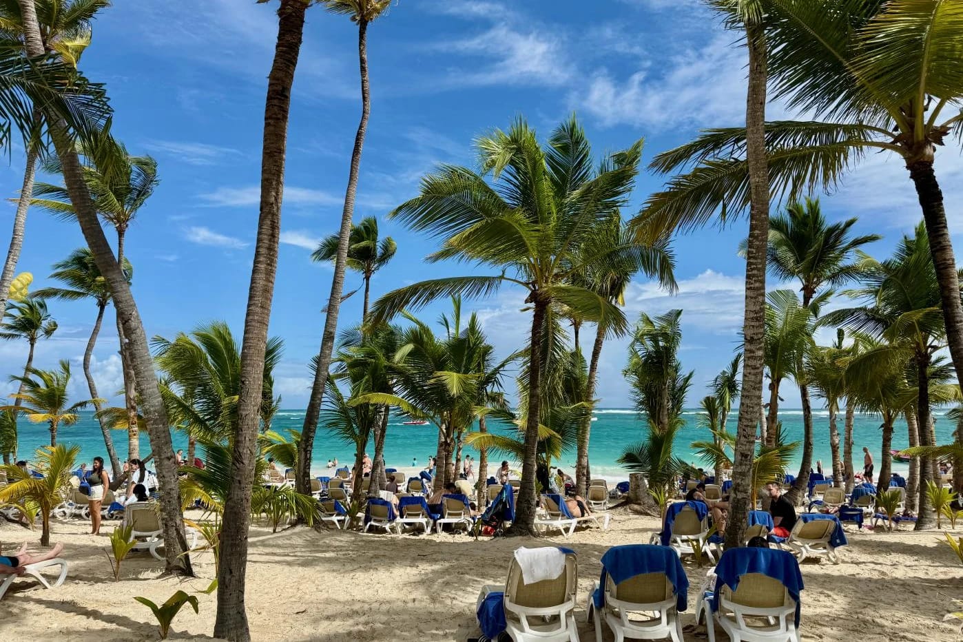 Punta Cana hotel for sale: Bávaro beach with palm trees and the Caribbean Sea