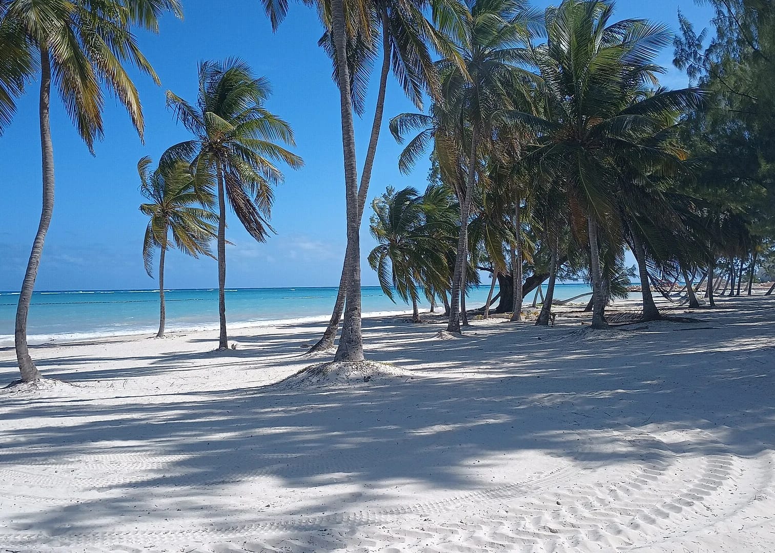 Viaggio in Repubblica Dominicana: Samaná, Saona e Santo Domingo 13 Viaggio in Repubblica Dominicana: spiaggia di Cap Cana