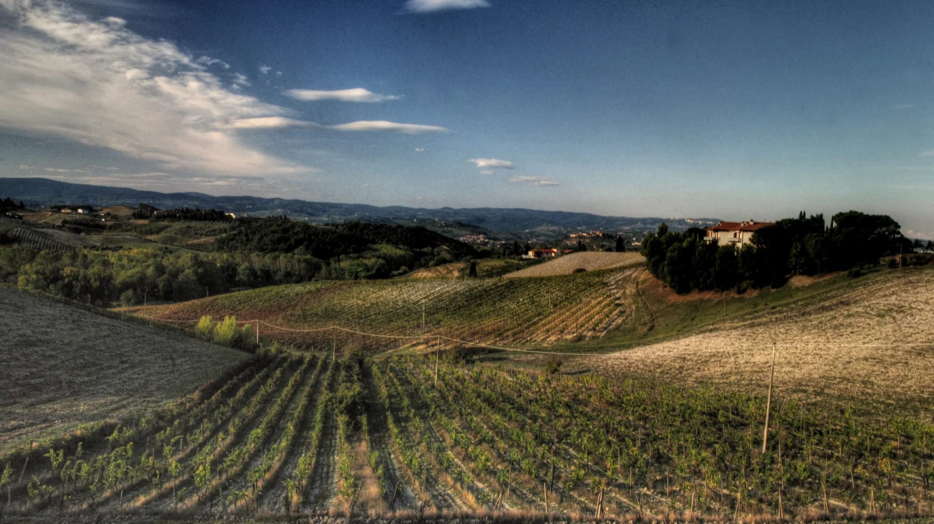 Made in Italy 24 Vineyards in the Chianti wine zone, Tuscany