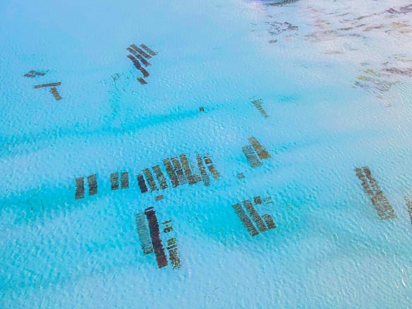 Elite Luxury Real Estate & Travel - Investimenti immobiliari di lusso internazionali & viaggi professionali 45 Michamvi Zanzibar — fotografia del terreno fronte mare con 70 metri di affaccio sull'oceano