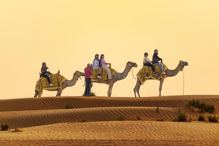 Comprare casa a Dubai: la guida completa per italiani 39 Viaggio a Dubai: carovana di cammelli sulle dune