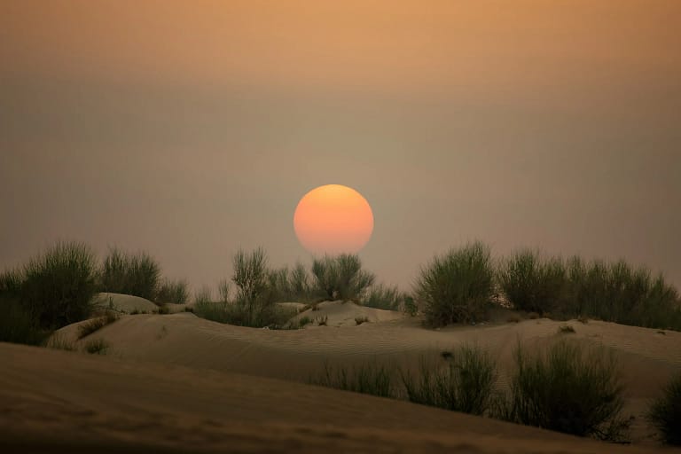 Immobili a Dubai 56 Viaggio a Dubai: tramonto sulle dune del deserto