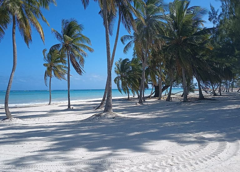 Dominican Republic Travel: Samaná, Saona and Santo Domingo 13 Eden Roc Cap Cana — a beach in Cap Cana